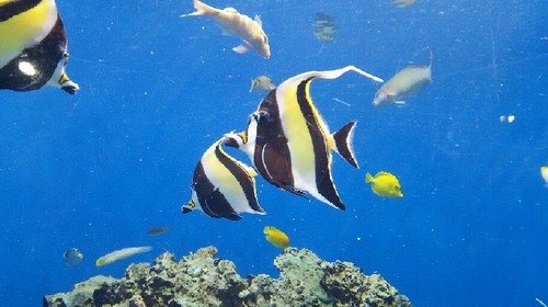 DSC_5856a.jpg