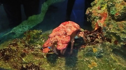 DSC_5859a.jpg