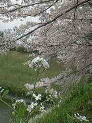 110409_8.jpg
