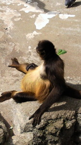 201104101031000.jpg