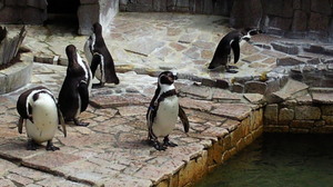201104101038000.jpg