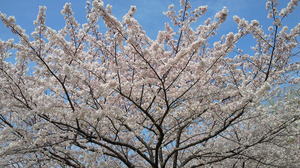 201104101047000a.jpg