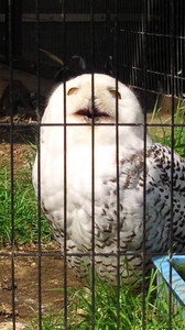 201104161352000.jpg