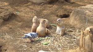 201104161402000.jpg