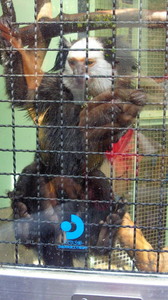 201104161406000.jpg