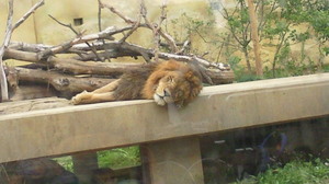 201105050914001.jpg