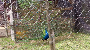 201105050924000.jpg