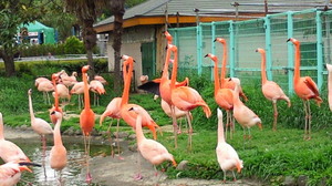 201105050947000.jpg