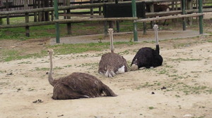 201105051008000.jpg