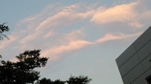 201106291900000.jpg