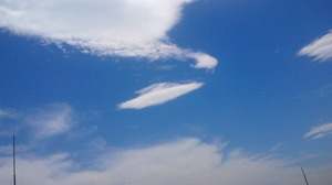 201107041226000.jpg