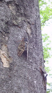 201108271307000.jpg