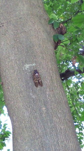 201108271312000.jpg