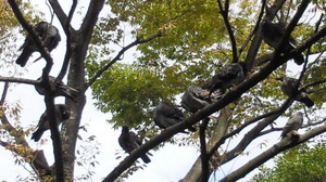 201110021232000.jpg