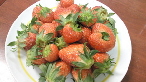 201201191918000.jpg