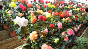 201203251323000.jpg