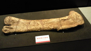 201203261808000.jpg