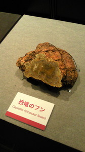 201203261808001.jpg