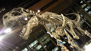 201203261831000.jpg