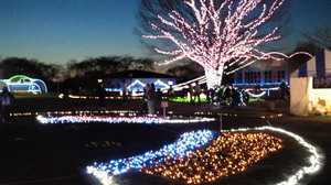 201204011836000.jpg