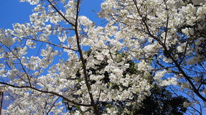 201204071204001.jpg