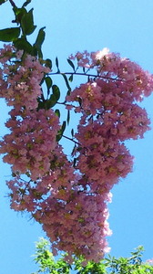 201208191217000.jpg
