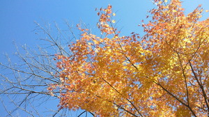 201212091137000.jpg