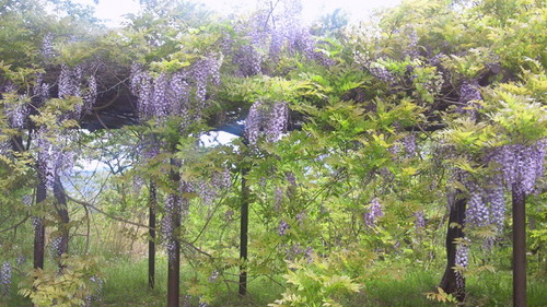 201305041250001.jpg
