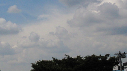 201309141259000.jpg