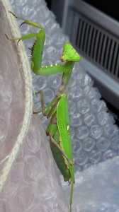 201309220957001.jpg