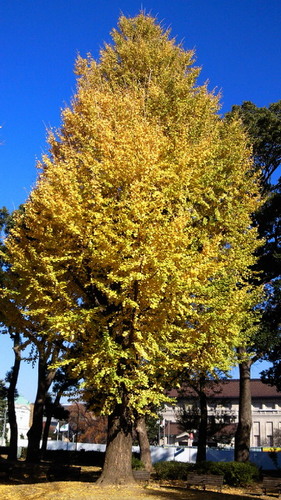 201312010955000.jpg
