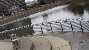 201401051510000.jpg