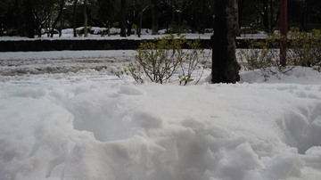 20140209-1.jpg