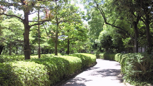 201406141037000.jpg