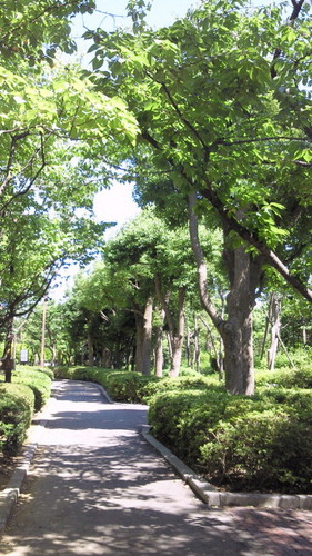 201406151358000.jpg