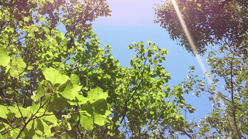 201406151358001.jpg