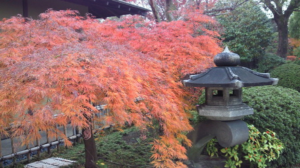 20141124行船7.jpg