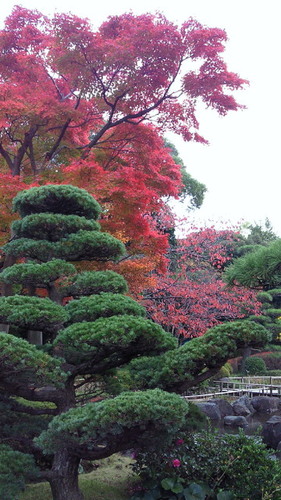 20141124行船8.jpg