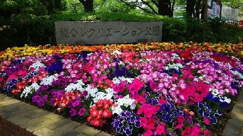 20160529_flower_garden7a.jpg
