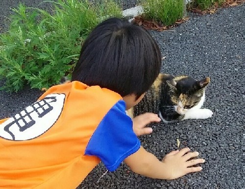 20160812ba.jpg