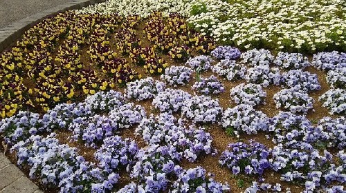 20170318_2a.jpg