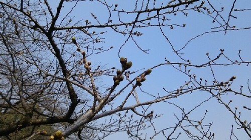 20170319_1a.jpg
