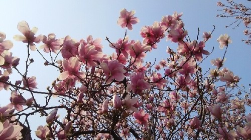 20170319_3a.jpg