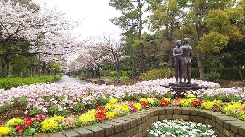20170407_sakura_1a.jpg