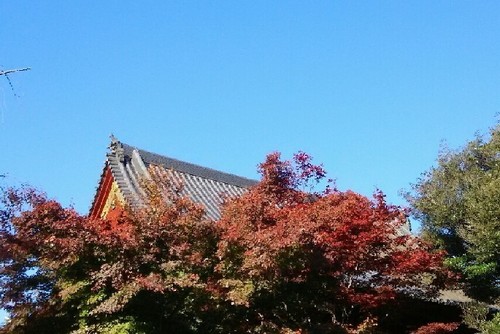 20171125_ueno_05a.jpg