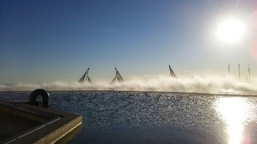 20180102_葛西臨海水族園_01a.jpg