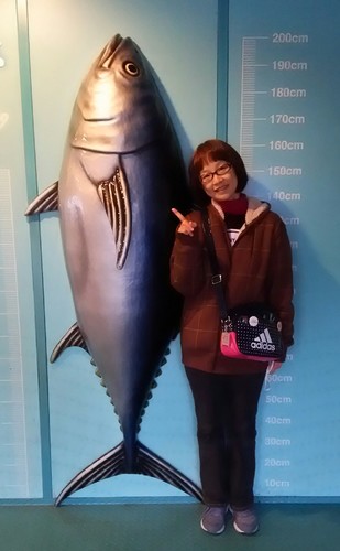 20180102_葛西臨海水族園_14a.jpg