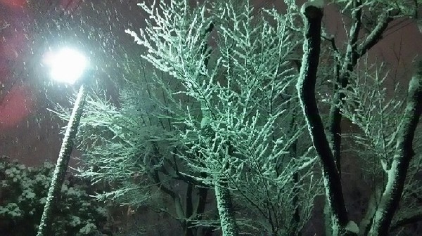 20180122_01a.jpg