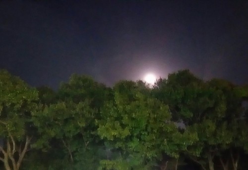 20180131_super_moon_01a.jpg