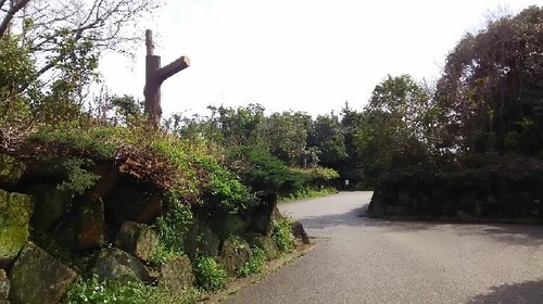 20180324_01a.jpg
